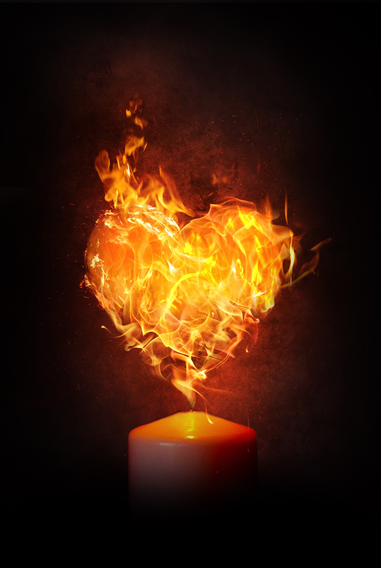 heart-g88932d108_1920